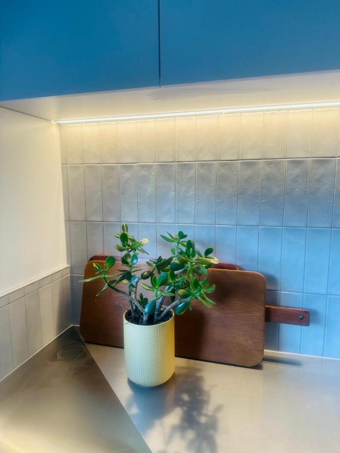 2 Bed Beckenham Beauty - Pet Friendly Villa Christchurch Kültér fotó